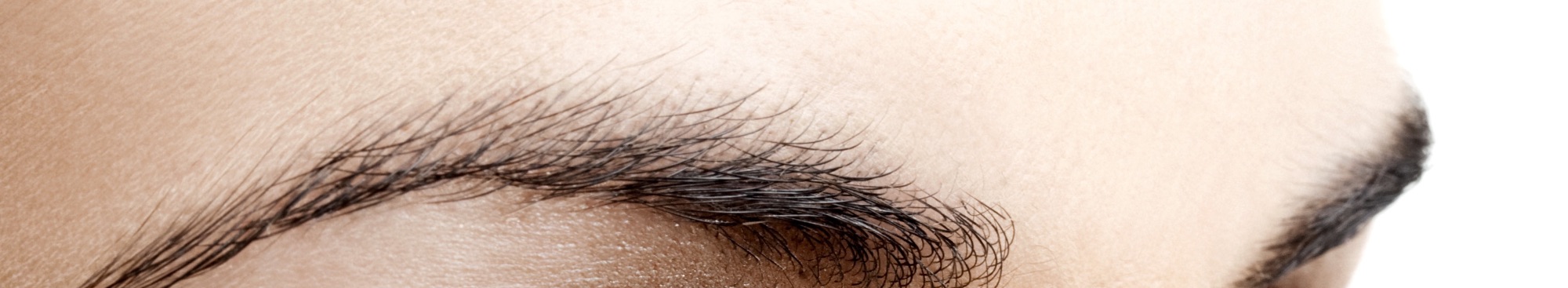 Eyebrow Transplant